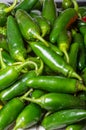 Hot peppers on display ready to use Royalty Free Stock Photo
