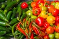 Hot peppers on display ready to use Royalty Free Stock Photo