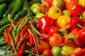 Hot peppers on display ready to use Royalty Free Stock Photo