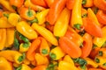 Hot peppers Royalty Free Stock Photo