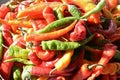 Hot Peppers for Sale