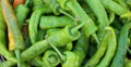 Hot peppers varieties Pimientos Choriceros, Royalty Free Stock Photo