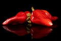 Hot pickled pepper isolated on black glass Royalty Free Stock Photo