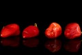 Hot pickled pepper isolated on black glass Royalty Free Stock Photo