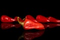 Hot pickled pepper isolated on black glass Royalty Free Stock Photo