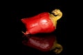 Hot pickled pepper isolated on black glass Royalty Free Stock Photo