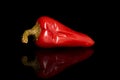 Hot pickled pepper isolated on black glass Royalty Free Stock Photo