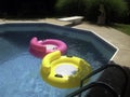 Pink and Yellow Float Tubes in a Backyard Pool Royalty Free Stock Photo