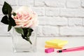 Hot Pink Styled Desktop. Garden Roses Styled Stock Photography. Product Mockup, Graphic Design. Rose Flower Mockup. Feminine