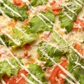 Hot pizza background or texture. Close-up shot of Melted cheese on pizza with lettuce and tomatoes. Vegan or vegetarian Royalty Free Stock Photo