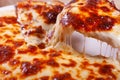 Hot Pizza with melted cheese