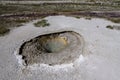 Hot Pool in the Upper Geyser Basin Area Royalty Free Stock Photo