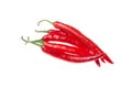 Hot Red Chili or Chilli Pepper isolated on white Royalty Free Stock Photo