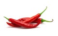 Hot red chili or chilli pepper Royalty Free Stock Photo