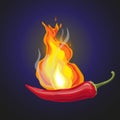 Hot red chili pepper with burning flames Royalty Free Stock Photo