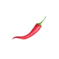 Hot red chili pepper. Hot burning vegetable. Flat cartoon design style. Single cayenne pepper vector illustration Royalty Free Stock Photo