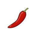 Hot red chili pepper vector illustration Royalty Free Stock Photo