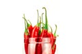 Hot red chili pepper white background Royalty Free Stock Photo