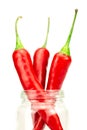 Hot red chili pepper white background Royalty Free Stock Photo