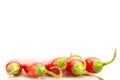 Hot red chili pepper white background Royalty Free Stock Photo