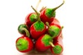 Hot red chili pepper white background Royalty Free Stock Photo