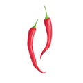 Hot red chili peppers. Hot burning vegetable. Flat cartoon design style. Group cayenne peppers vector illustration Royalty Free Stock Photo