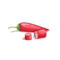 Hot red chili peppers. Hot burning vegetable. Flat cartoon design style. Group jalapeno peppers with cuts. Vector illustration Royalty Free Stock Photo