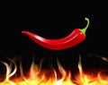 Hot red chili pepper over flame fire. 3D render Royalty Free Stock Photo
