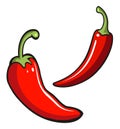 Hot red chili peppers vector illustration. Royalty Free Stock Photo