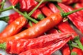 Hot red chillies Royalty Free Stock Photo