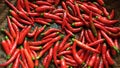 Hot red chillies Royalty Free Stock Photo