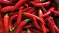 Hot red chillies Royalty Free Stock Photo