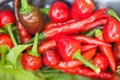 Hot Red chillies Royalty Free Stock Photo