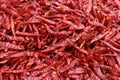 Hot Red Dried Chili Peppers