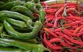 Hot red and green chili peppers at farmers market Royalty Free Stock Photo