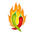 Hot red and green pepper, healthy seasoning