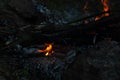 Hot red-orange coals from burnt wood. Background bonfire close-up, burning wood, small bright flame fire. Royalty Free Stock Photo