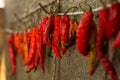 Hot chili pepper Royalty Free Stock Photo