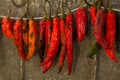 Hot chili pepper Royalty Free Stock Photo