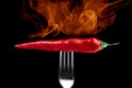 Hot red pepper with fire on a fork on a black background Royalty Free Stock Photo