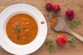 Hot red pepper soup and ingredients. Royalty Free Stock Photo