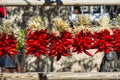 Hot red peppers hung for sale Royalty Free Stock Photo