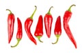 Hot red ripe peppers Royalty Free Stock Photo