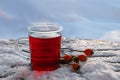 Hot red tea from hibiscus and rose hip fruits outdoors in the wi Royalty Free Stock Photo