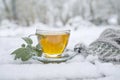 Hot sage tea in a glass cup and a woolen hat outdoors on a table in the snow, medicinal herb and home remedies against flu and Royalty Free Stock Photo