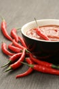 Hot salsa mexicana