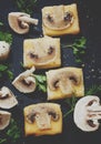 Hot sandwiches with cheese and mushrooms, greens, on a dark stone background, top view, selective focus and toned image Royalty Free Stock Photo
