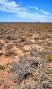 A hot savanna with dried plants on a sunny day in South Africa. An empty African landscape of barren highland with dry Royalty Free Stock Photo