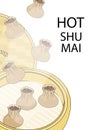 Hot shumai steamed dumplings poster vector illustration