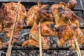 Hot skewer roasting chicken on Grilled rack